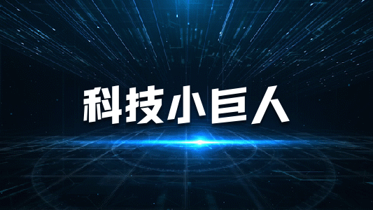 東莞市專精特新中小企業(yè)申報(bào)條件、補(bǔ)貼