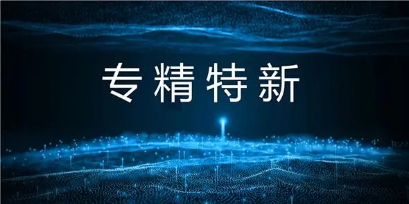 國家級(jí)專精特新小巨人怎么申報(bào)、條件流程