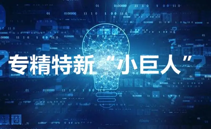 【詳細(xì)】專精特新企業(yè)申報(bào)流程、條件、領(lǐng)域
